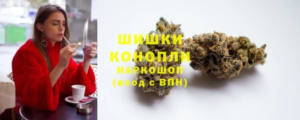 спиды Гусев