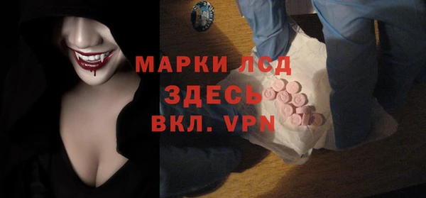 спиды Гусев