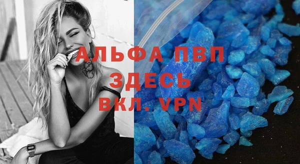спиды Гусев
