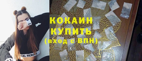 спиды Гусев