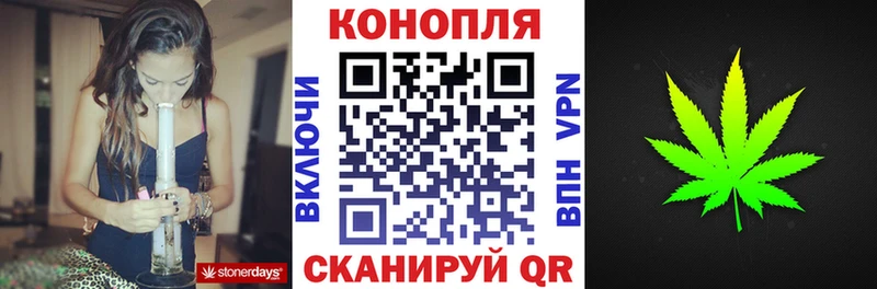 мориарти телеграм Новочебоксарск Каннабис тримм где найти